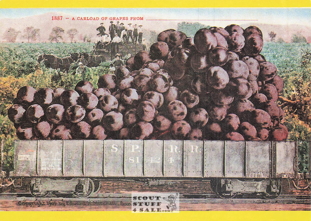 1910 Picture of Large Grapes Postcard, Edward Mitchell, Editions Nugeron #FRUITS4