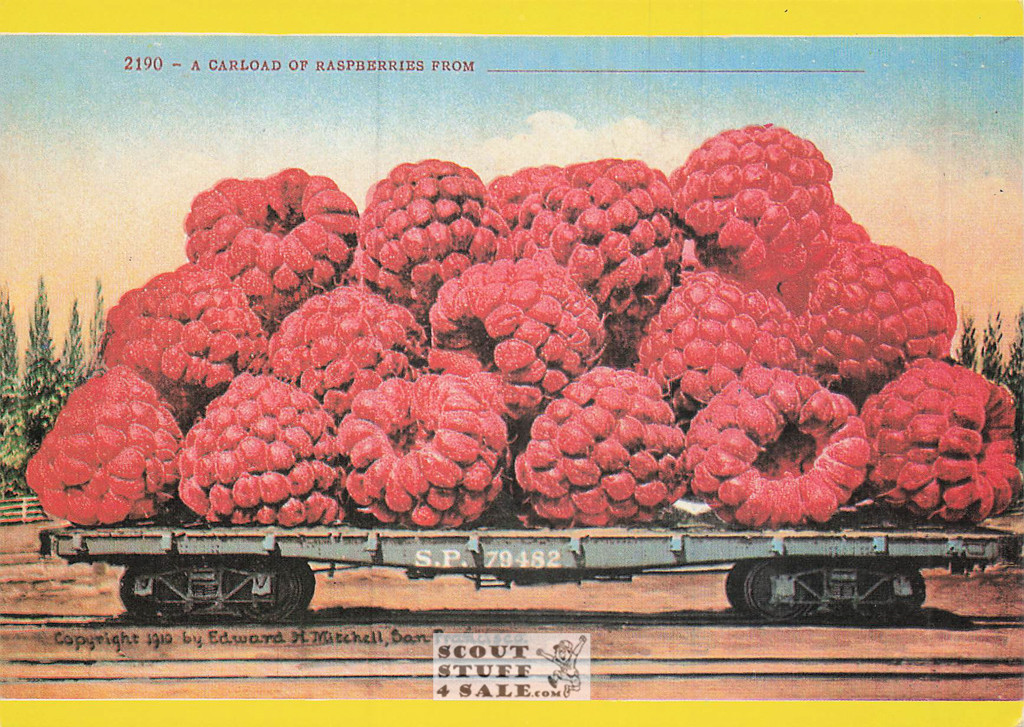 1910 Picture of Raspberries Postcard, Edward Mitchell, Editions Nugeron #FRUITS7