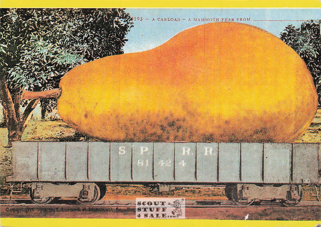 1910 Picture of Large Pear Postcard, Edward Mitchell, Editions Nugeron #FRUITS8