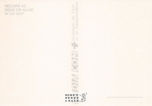 Dead or Alive In Too Deep Album French Postcard, Media Comm #RECORD43