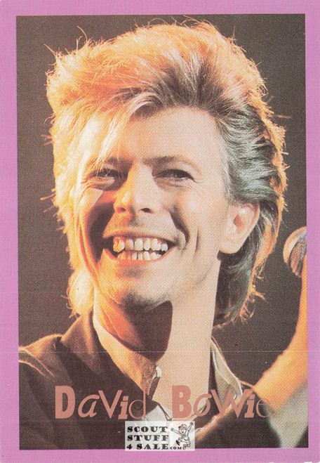 David Bowie French Postcard, Media Comm #RECORD110