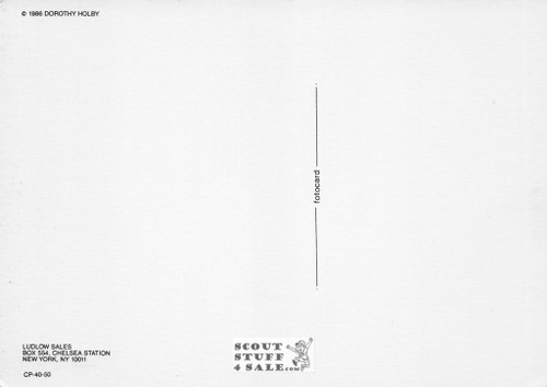 Dorothy Holby Photo Postcard of a Kitten, Ludlow Sales #CP40