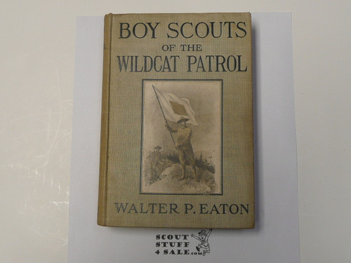 Boy Scouts of the Wildcat Patrol, By Walter Prichard Eaton, 1915 First Edition, Hardbound, Boy Scout Story Book