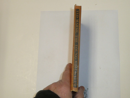 Ted Marsh the Young Volunteer, by Elmer Sherwood, 1920's, Hardbound, Boy Scout Story Book