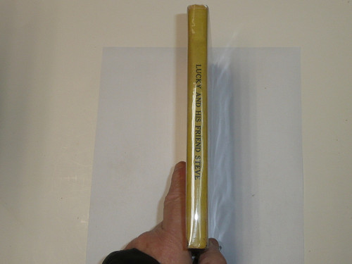 Lucky and His Friend Steve, by Elmer Sherwood, 1922, Hardbound with Dust Jacket, Boy Scout Story Book