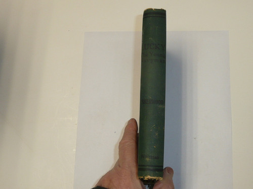 Lucky The Young Navyman, by Elmer Sherwood, 1917 First Edition, Hardbound, Boy Scout Story Book
