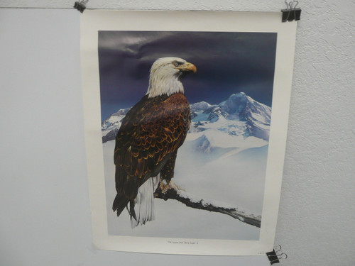 The Express Mail Liberty Eagle II Poster,  1987 by USPS, 15.5" x 20", #P22