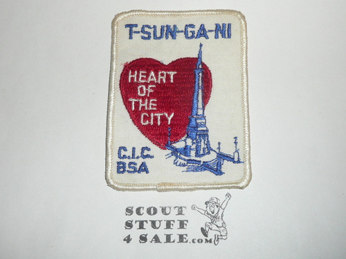 Central Indiana Council T-Sun-Ga-Ni District Patch