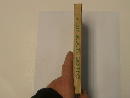 A Boy Scout's Destiny, by Edward Griggs, 1921 First Edition, Hardbound, Boy Scout Story Book