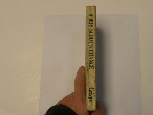 A Boy Scout's Chance, by Edward Griggs, 1921 First Edition, Hardbound, Boy Scout Story Book #2