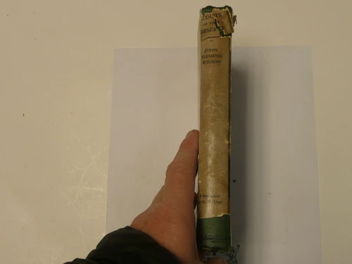 Scouts of the Desert, By John Fleming Wilson, 1920 First Printing, Hardbound with Dust Jacket, Boy Scout Story Book