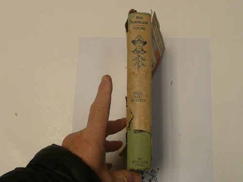 Three Boys in the Wild North Land, By Egerton R. Young, 1896, Hardbound with Dust Jacket, Youth Story Book, Dust Jacket has a Boy Scout on the Cover