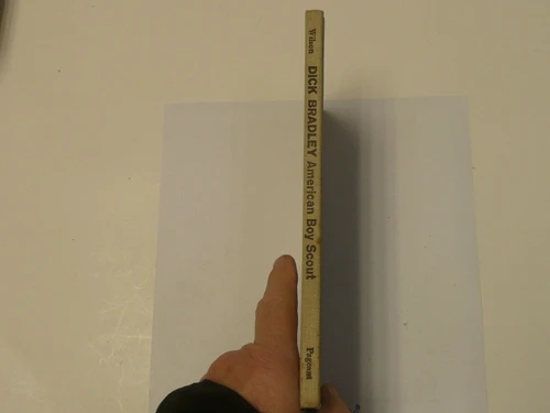 Dick Bradley American Boy Scout, by Helen Wilson, 1960 First Edition, Hardbound, Boy Scout Story Book