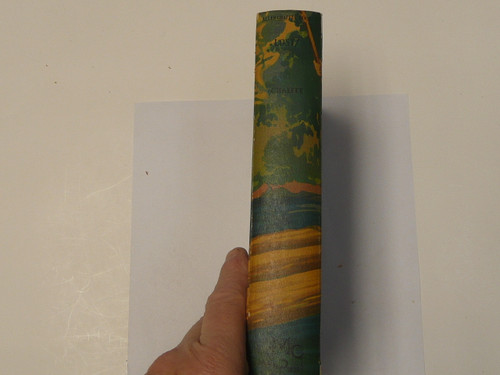 LOST! Two Boys Battle With the Elements, By Allen Chaffee, 1930, Hardbound, Boy Scout Story Book