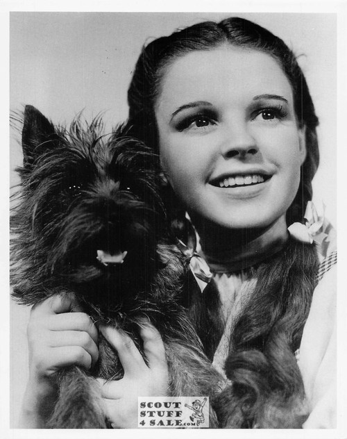 The Wizard of Oz Judy Garland Movie Postcard by Classico SF #220-064, 8x10"