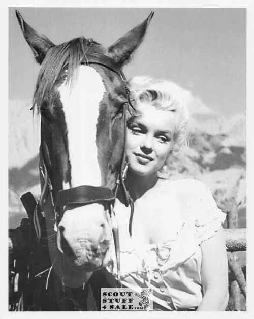 Marilyn Monroe Postcard by Classico SF #220-296, 8x10"