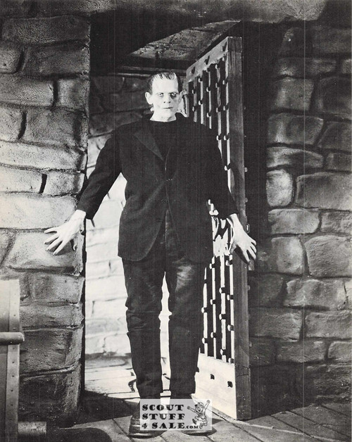 Frankenstein Postcard by Classico SF #257-001, 8x10"