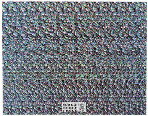T-Rex & Triceratops Magic Eye 3D Optical Illusion Postcard, Classico SF #528-003, 8x10"