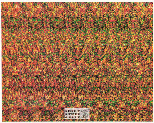 Dragon Magic Eye 3D Optical Illusion Postcard, Classico SF #528-004, 8x10"