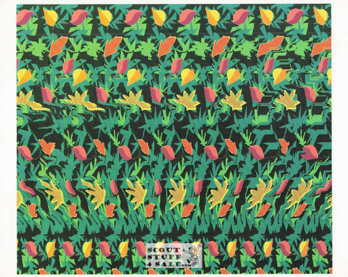 Duck Magic Eye 3D Optical Illusion Postcard, Classico SF #528-011, 8x10"
