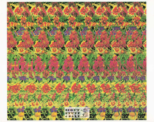 Flower Trio Magic Eye 3D Optical Illusion Postcard, Classico SF #528-016, 8x10"