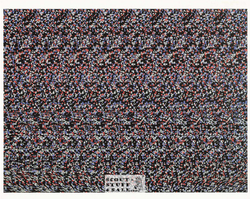 Suburban America Magic Eye 3D Optical Illusion Postcard, Classico SF #528-022, 8x10"