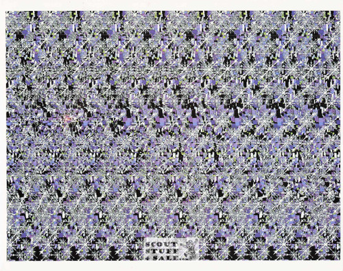 Skiing Magic Eye 3D Optical Illusion Postcard, Classico SF #528-030, 8x10"