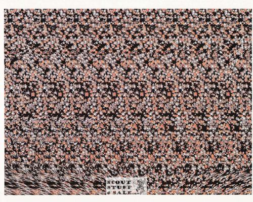 Lynx Magic Eye 3D Optical Illusion Postcard, Classico SF #528-037, 8x10"