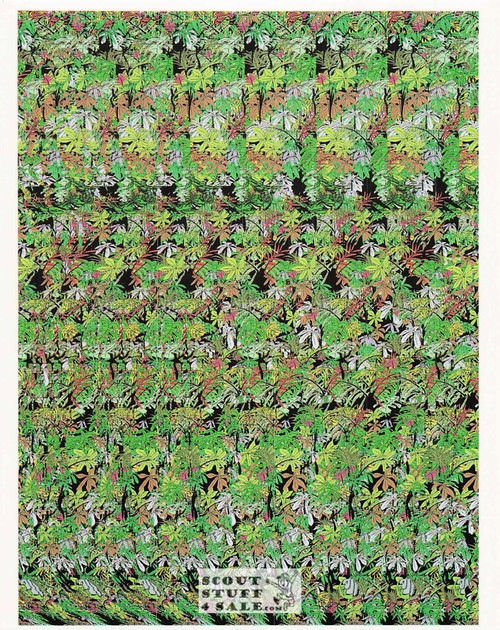 Golf Magic Eye 3D Optical Illusion Postcard, Classico SF #528-041, 8x10"