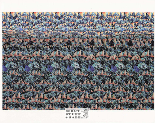 Swimmer Beware Magic Eye 3D Optical Illusion Postcard, Classico SF #528-048, 8x10"