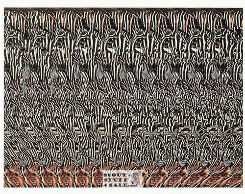 Zebras Magic Eye 3D Optical Illusion Postcard, Classico SF #528-059, 8x10"
