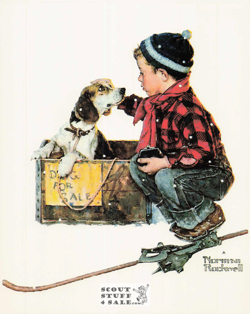 A BOY AND HIS DOG, Norman Rockwell Artwork Postcard, Classico SF #575-025, 8x10"