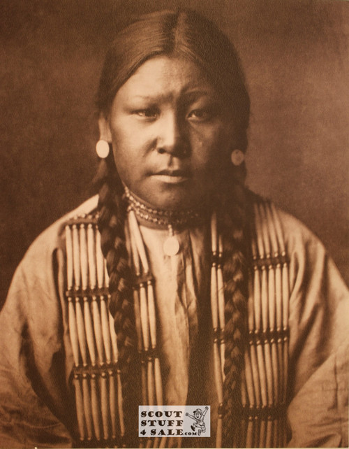 Cheyenne Girl Sepia Poster Postcard by Classico SF #130-260, 11x14"