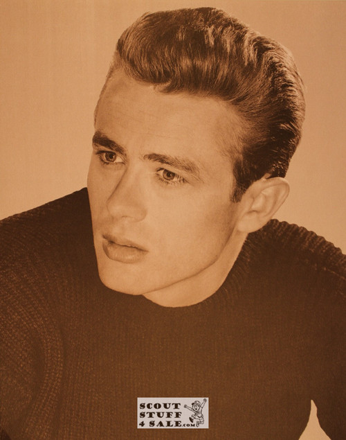 James Dean Sepia Poster Postcard by Classico SF #130-316, 11x14"