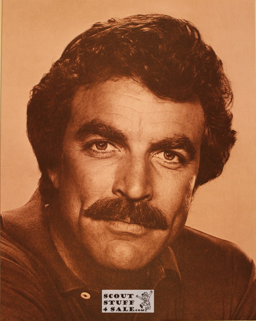 Tom Selleck Sepia Poster Postcard by Classico SF #130-e8, 11x14"