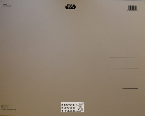 Star Wars Princess Leia Poster Postcard by Classico SF #183-027, 11x14"