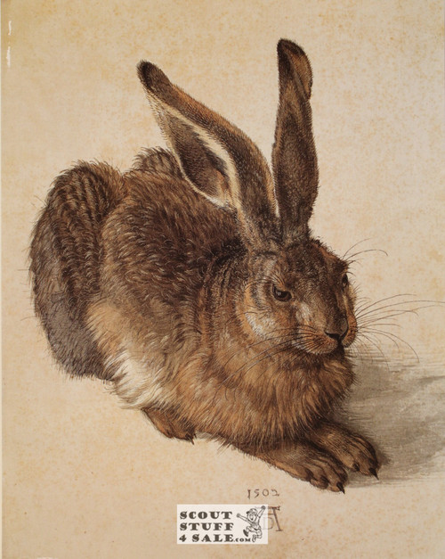 Hare by Albrecht Durer Painting Poster Postcard by Classico SF #194-011, 11x14"