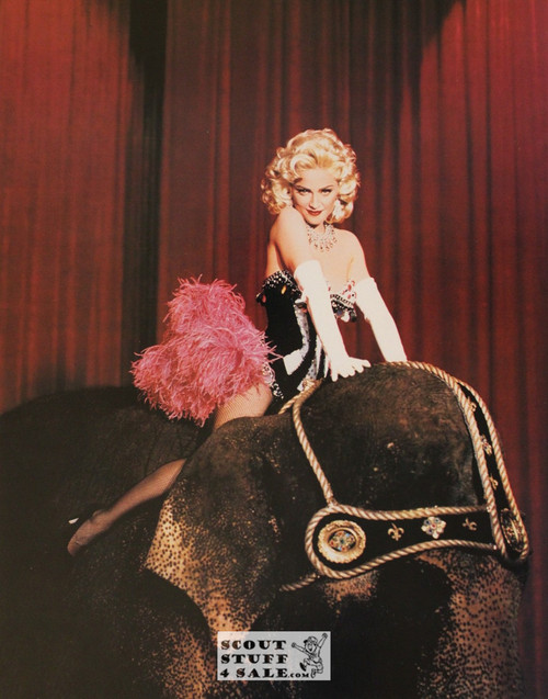 Madonna Poster Postcard by Classico SF #467-002, 11x14"