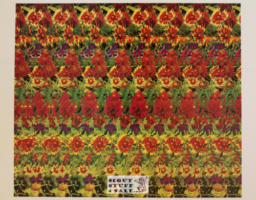Flower Trio Magic Eye 3D Optical Illusion Poster Postcard, Classico SF #536-019, 11x14"
