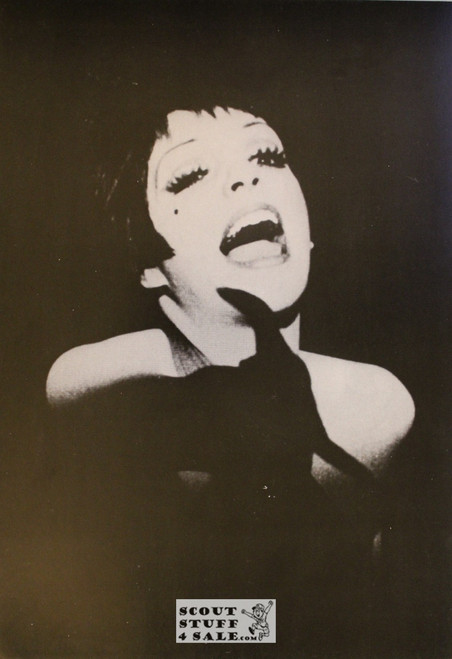 Liza Minelli Vintage French Poster, Editions Nugeron #MP179, 10.5x15.25"
