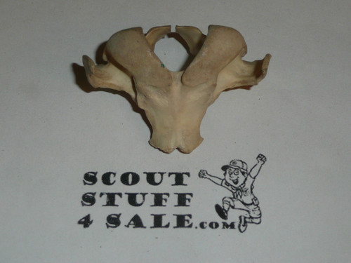 Animal Vertabrae Neckerchief Slide #4