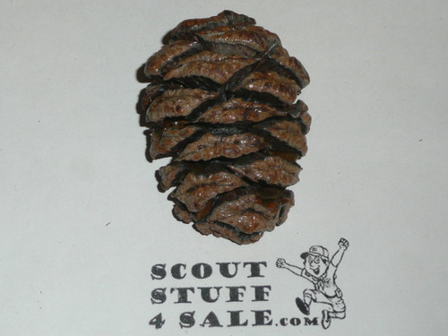 Pinecone Neckerchief Slide