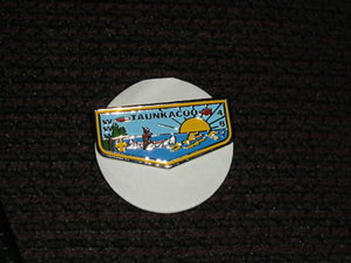 Taunkacoo O.A. Lodge #487 Flap Pin-Scout