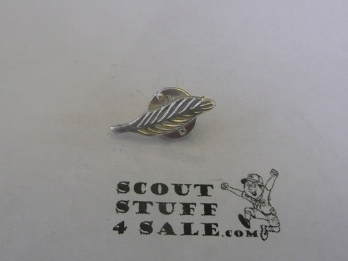Eagle Scout Silver Palm, post back
