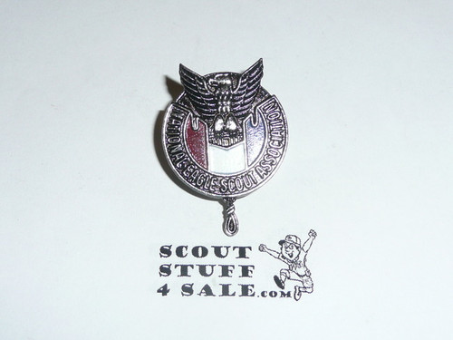 National Eagle Scout Association Large Pin