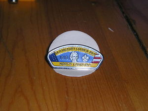 Old Hickory Council CSP shaped Pin #2 - Scout