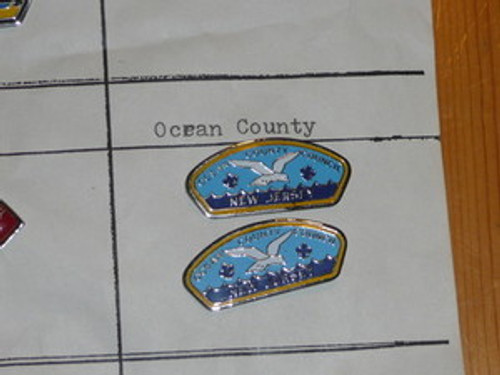 Ocean County Council CSP Shaped Pin - Scout