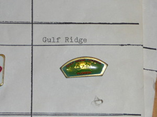 Gulf Ridge Council CSP Shaped Pin - Scout