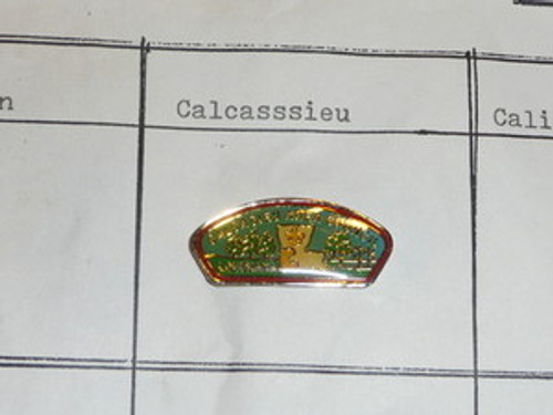 Calcasieu Area Council CSP Shaped Pin - Scout