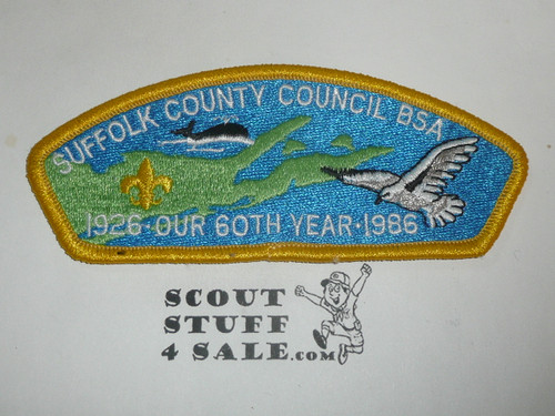 Suffolk County Council sa3 CSP